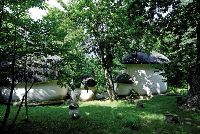 Hotel Maria Nella 바르디네토 외부 사진